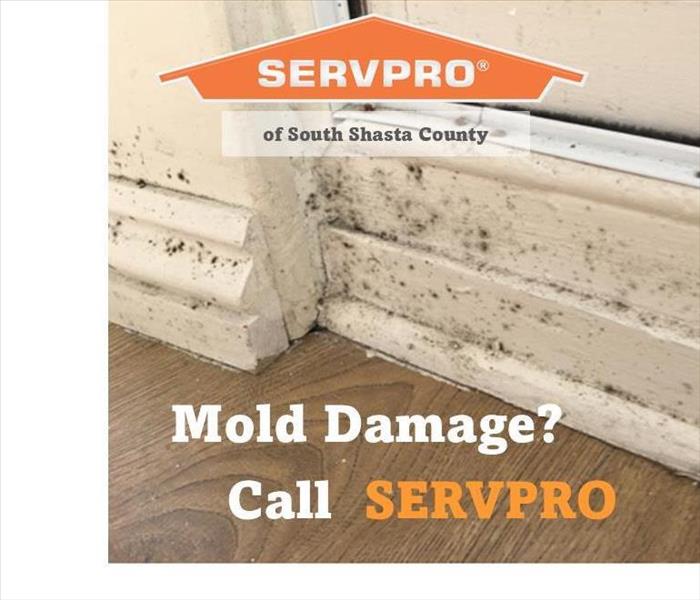 Mold on baseboards